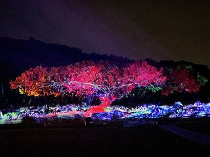 황혼의 기적 고인돌